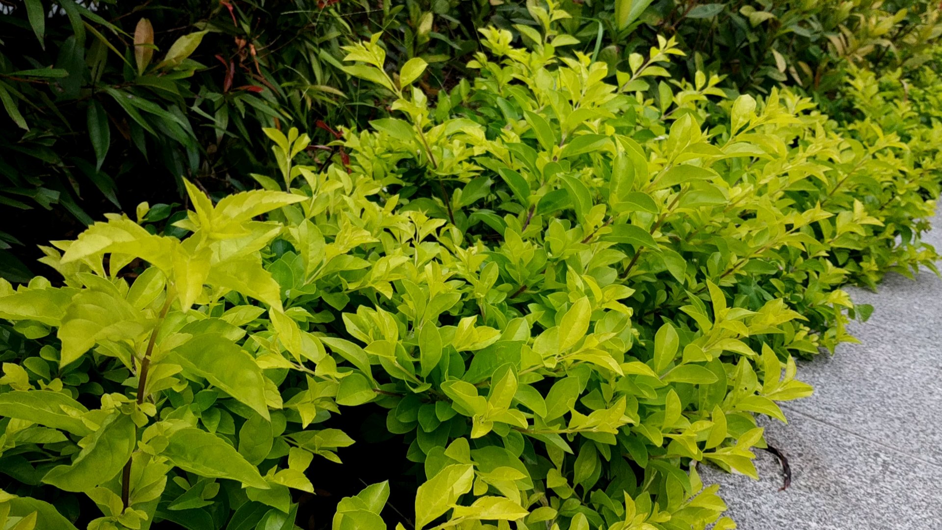 夏天带宝宝出外要注意什么呢? 1 选择合适的时间出外,避免过晒。有时广州的傍晚温度都直逼3