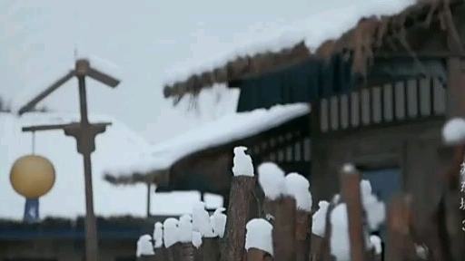 人物:苏东坡→15