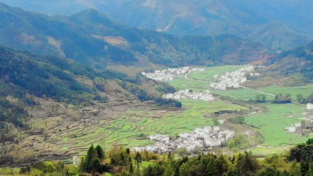 婺源江岭油菜花开,还能看日出云海 三月婺源花开成海,想看天上人间来江岭。江岭是中国四大油菜