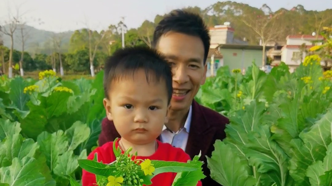 没吃增城迟菜心,等于没来过广州! 你吃过长得像小树一样的增城迟菜心吗?迟菜心又叫高脚菜心,