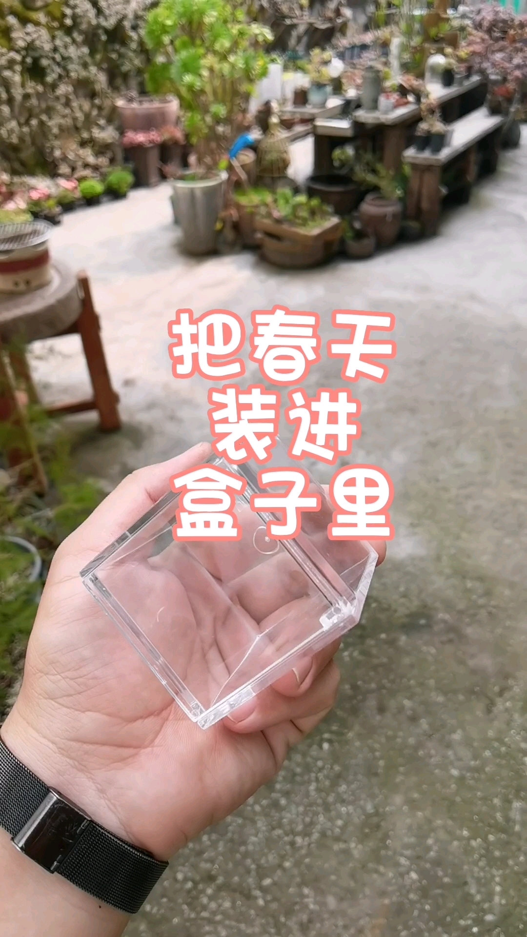 要给你的空间增添一抹绿色和生机吗?想要拥有一个独一无二的植物艺术品吗?想要享受种植多肉植物