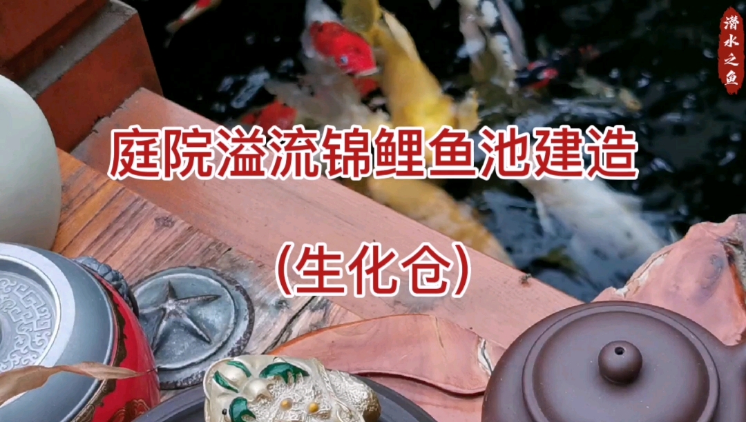 #科普小知识#  溢流鱼池过滤系统第三站生化仓,仓内放置珊瑚、贝壳、麦饭石、陶瓷环、细菌屋