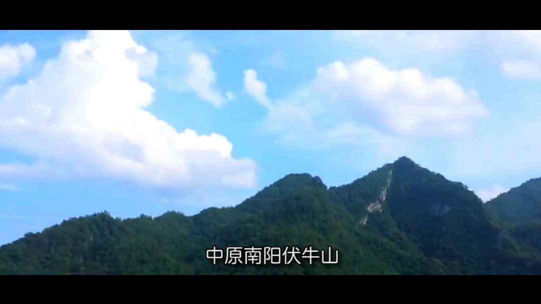 这里面的蜂蜜很不错哦
