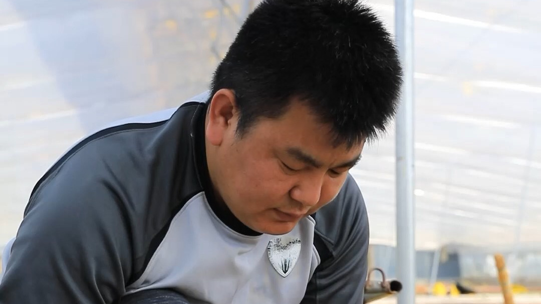 带你去看看多肉大棚里是怎么种植法师的