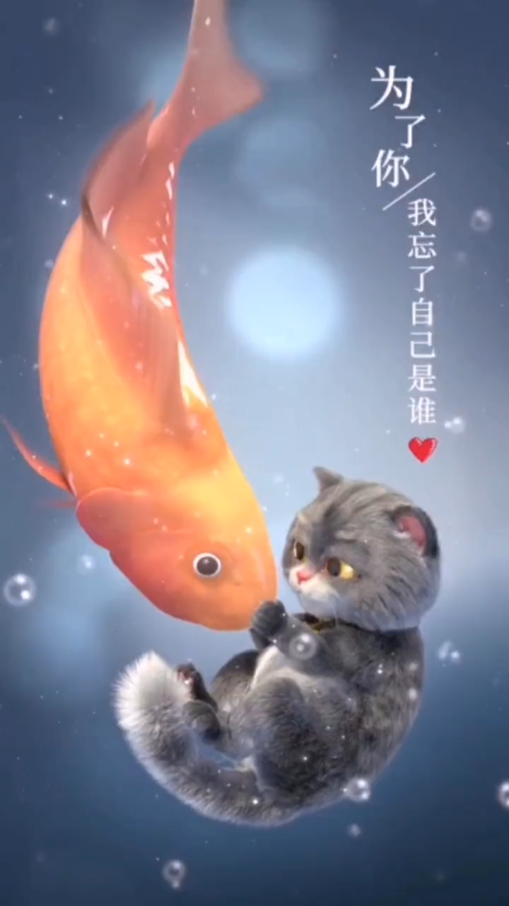 猫鱼情深 文/曹予馨  你是鱼还是猫 我是猫还是鱼 是猫爱上鱼 还是鱼离不开猫 谁知道? 