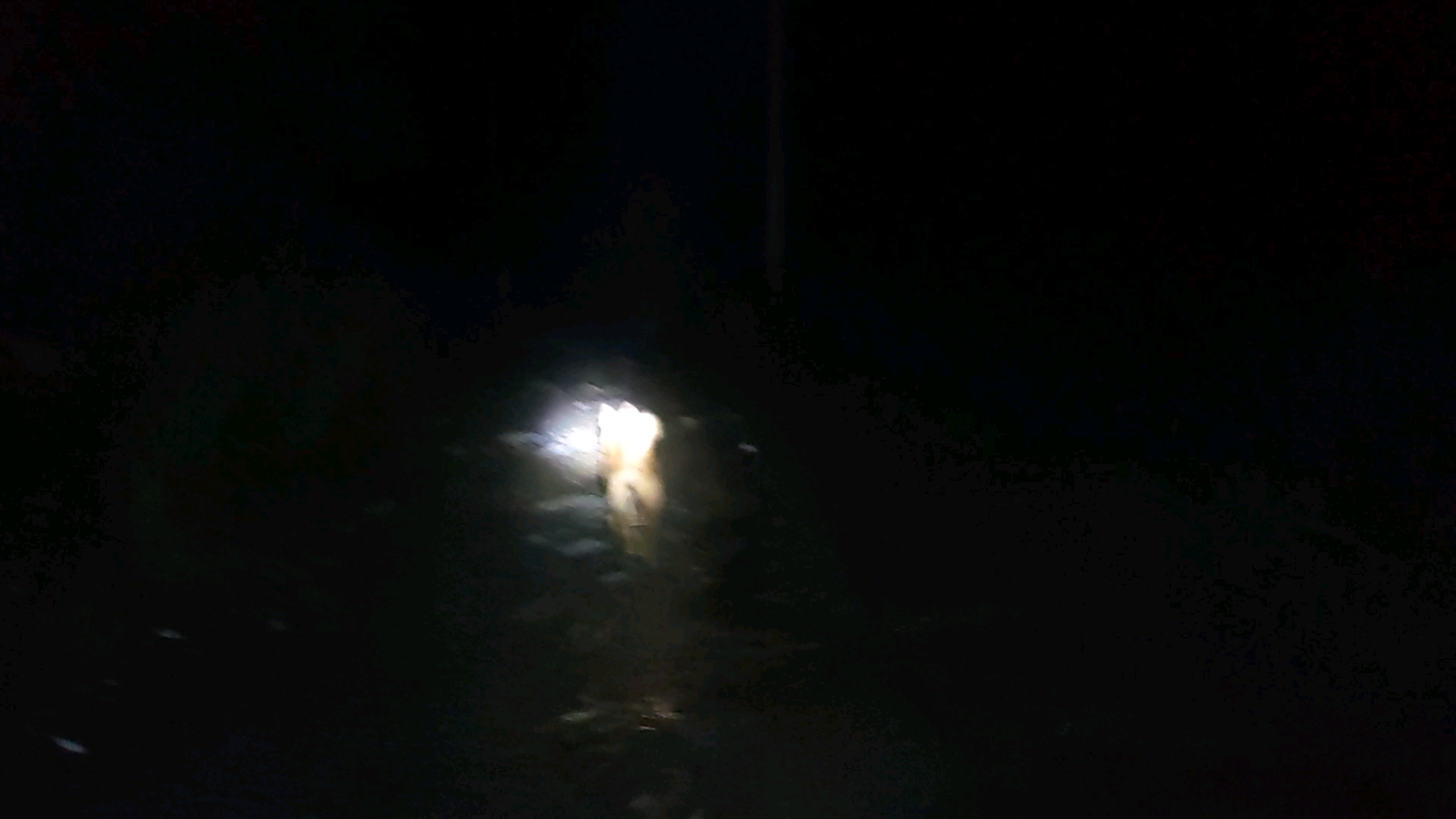 现在晚上葡萄跟百香果不想来鸡场了,每天都要叫很久才从屋里出来,黄瓜在后面磨磨唧唧的,走一会