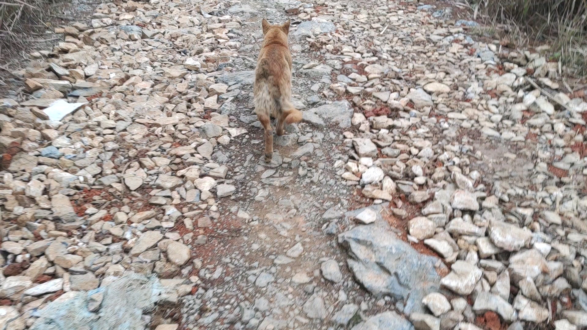 百香果跟五块下去了,油桶跟20就跟我们一起上来,昨天25度°大太阳????今天0-17度°明天就