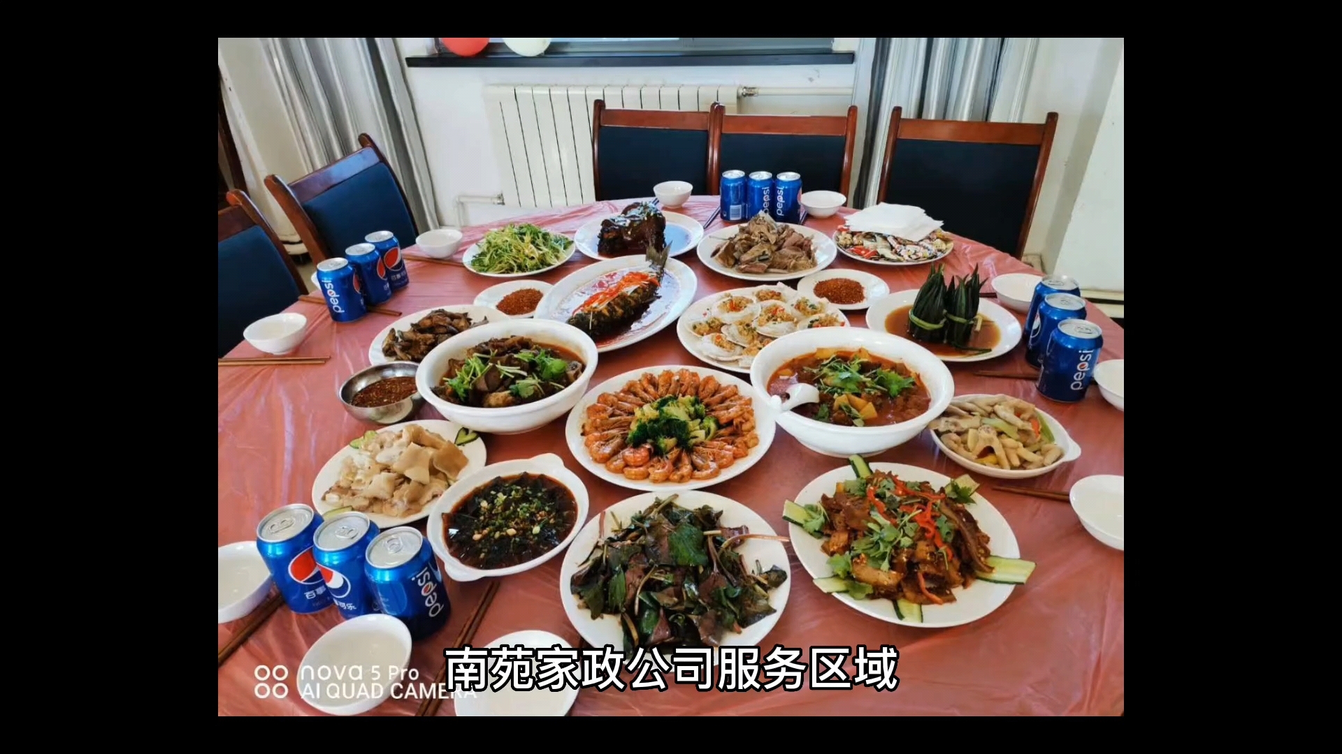 南苑家政公司服务区域 南庭新苑北区,南庭新苑南区,阳光星苑北区,萃海明苑,公园懿府,诚苑南