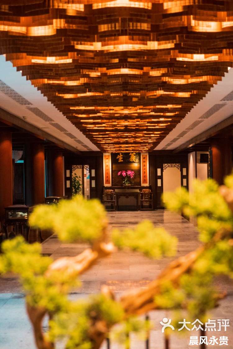 乌镇住宿推荐书香气阵阵的昭明书舍酒店