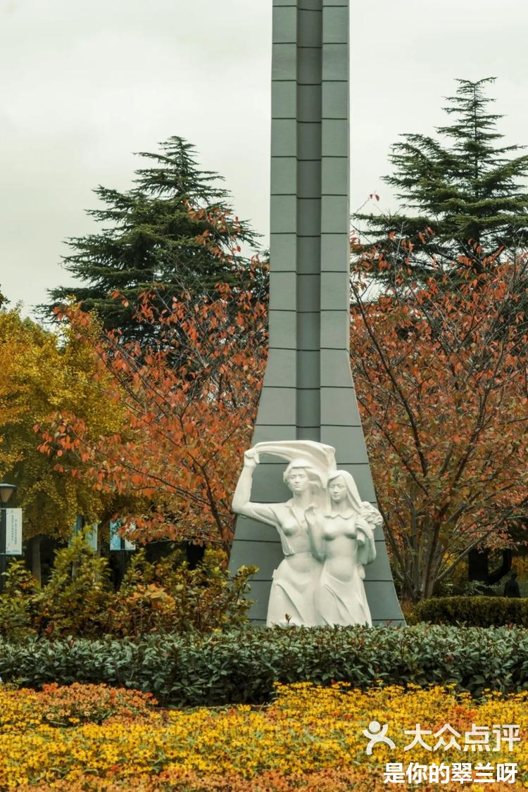 深秋初冬的美丽邂逅