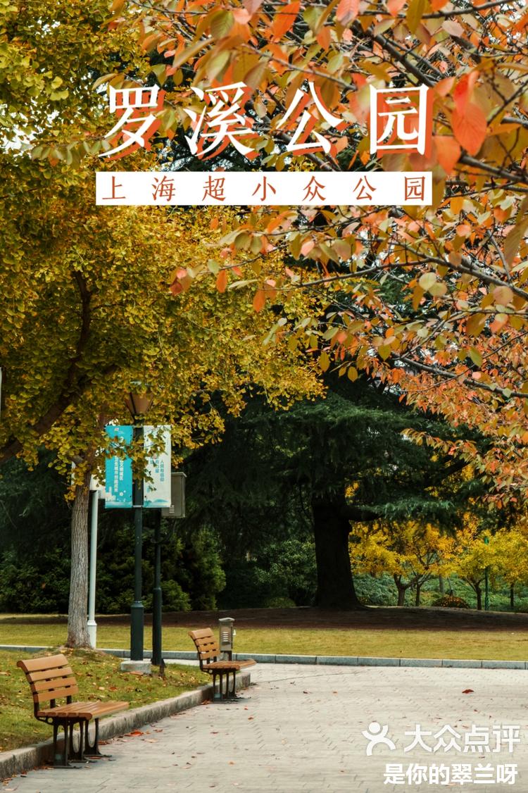 深秋初冬的美丽邂逅