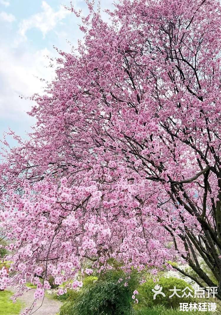 湄潭县水湄花谷景观图片