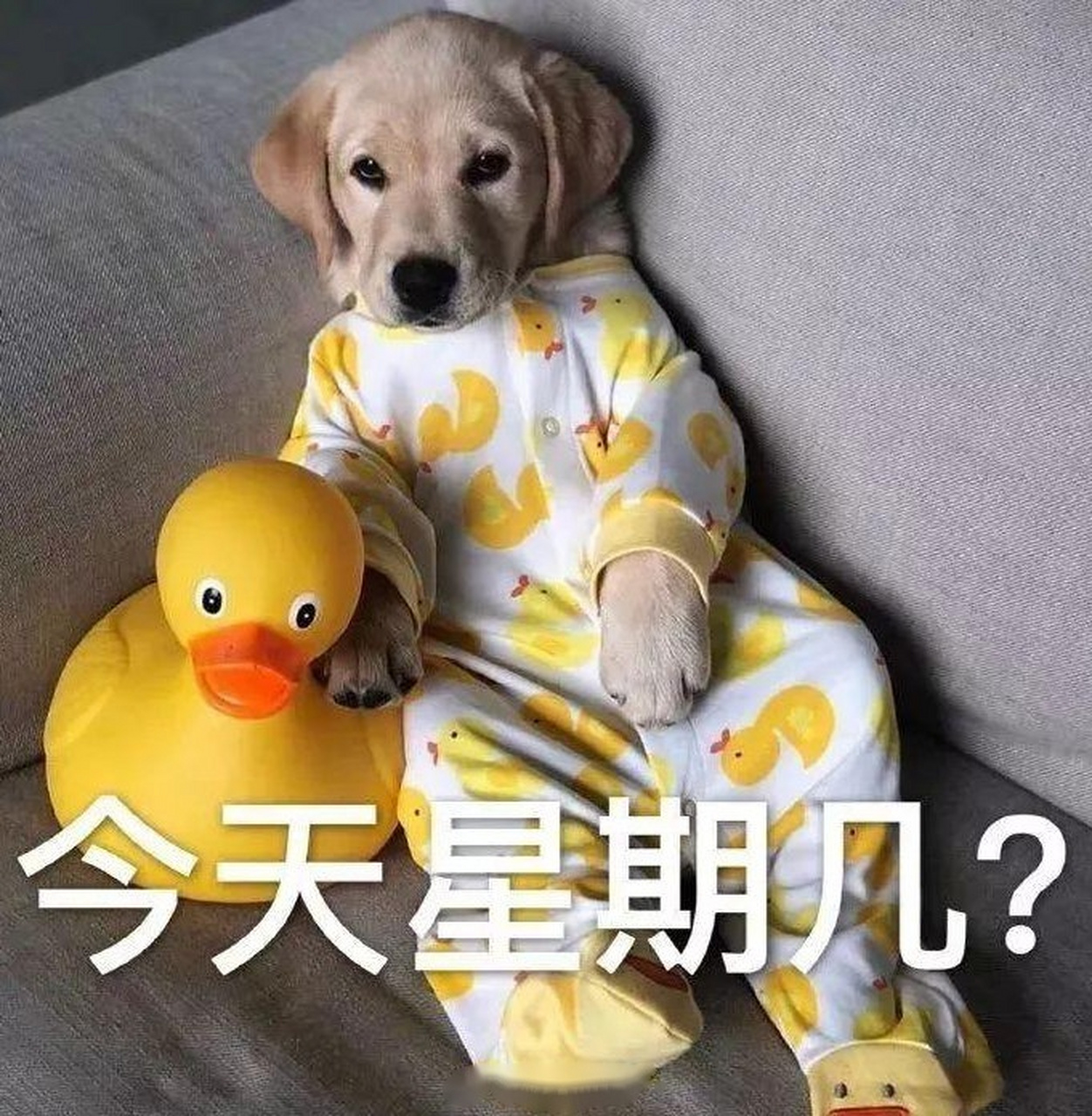 问大家一个问题,不看日历,你知道今天是星期几吗?