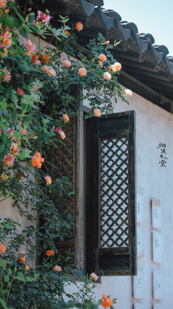 摄:烟波里的棠.