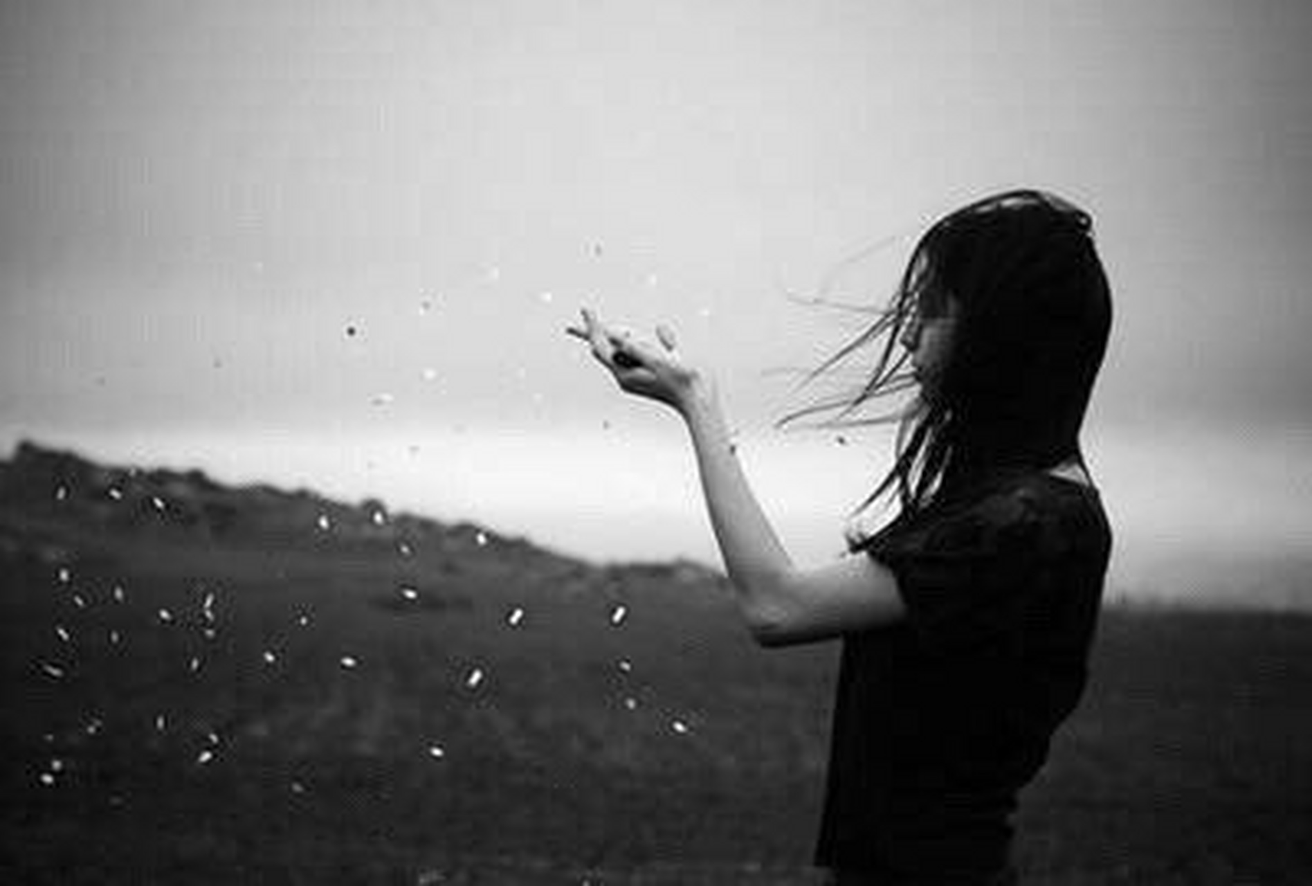 等与不等,我都等了,在与不在乎,我都已经在乎了,剩下的,靠命运吧.