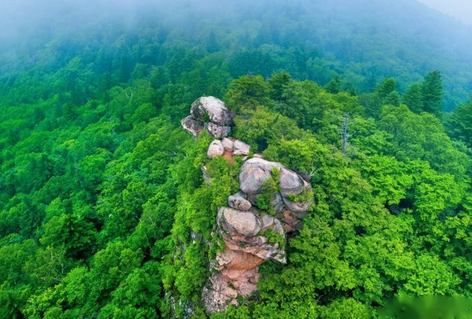 岗山国家森林公园图片