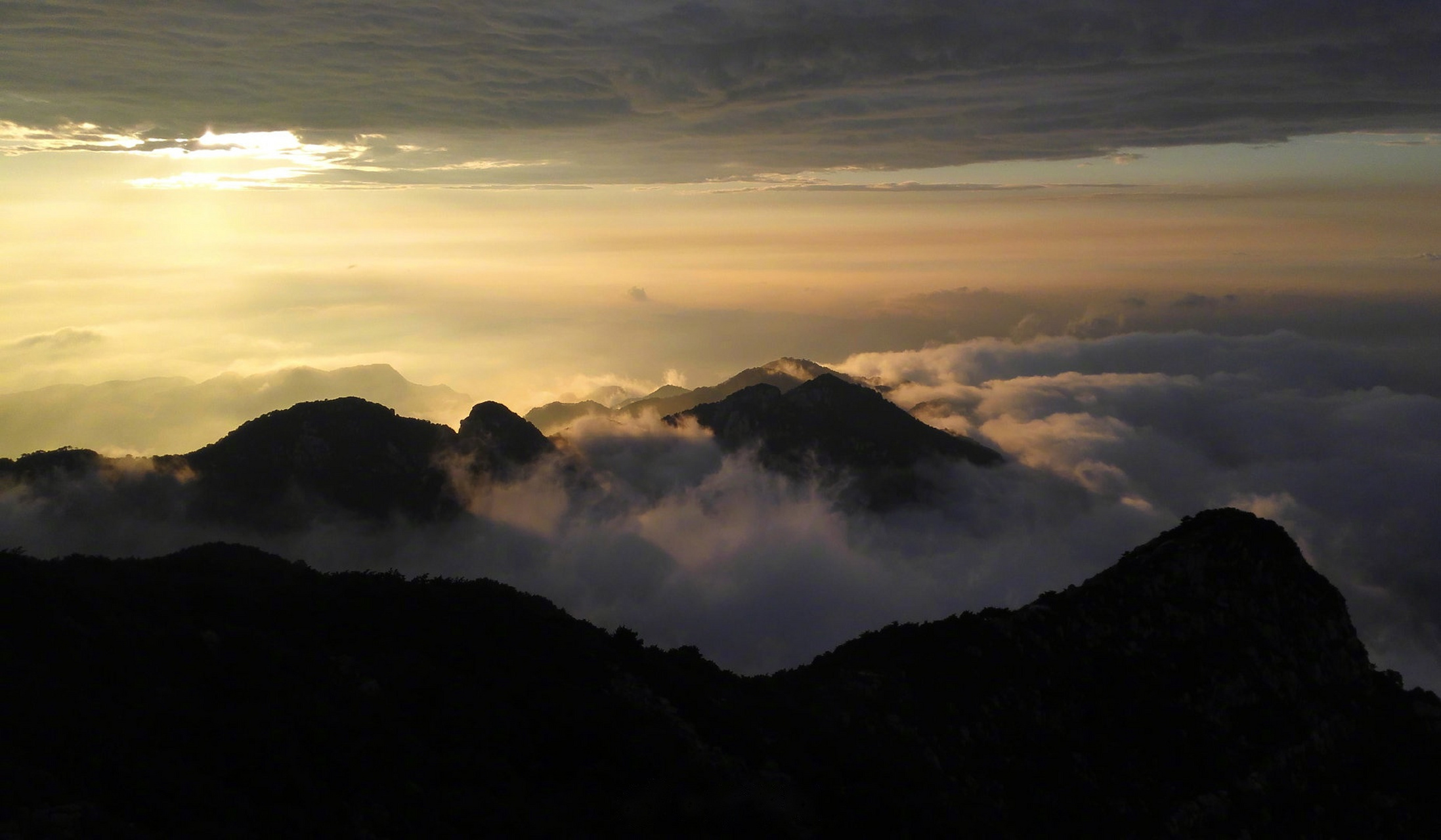 【泰山发现迄今最大树王泰山柳[围观]】记者从泰山景区管委会获悉,近