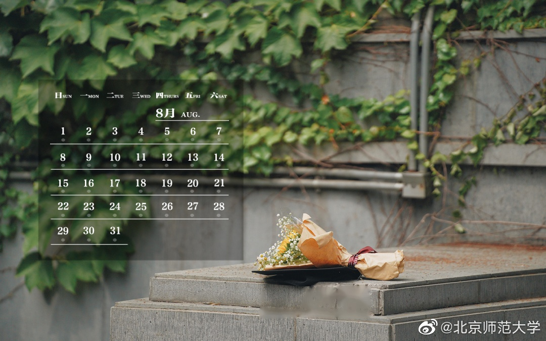 【师大月历 | 八月盛夏,明亮而又珍贵】