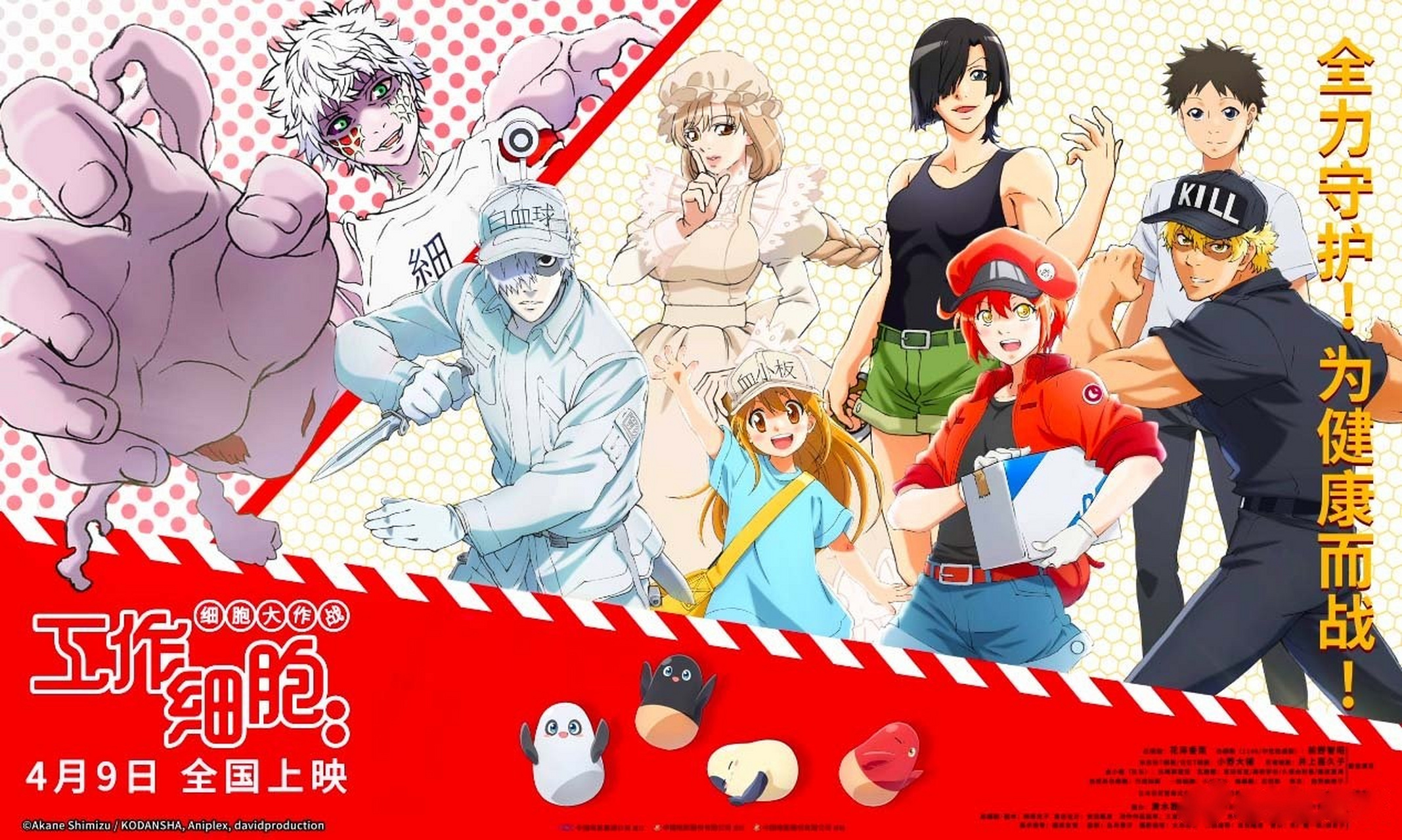 工作细胞# 这个动画片真的可,画风可爱,脑洞满满,还有从头到尾的知识