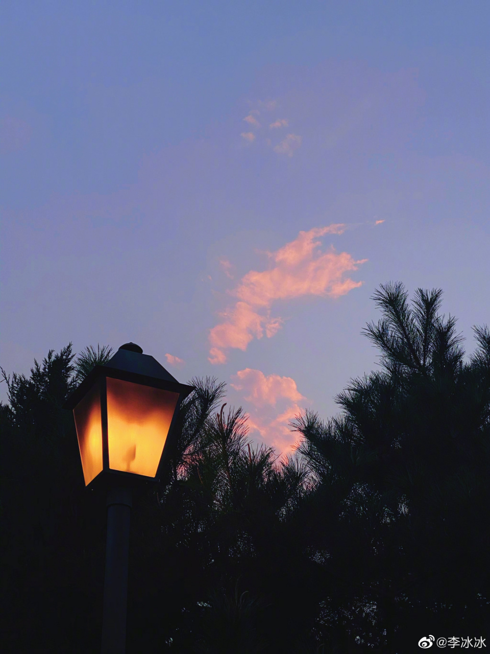 魔法世界里又双叒见粉烧云