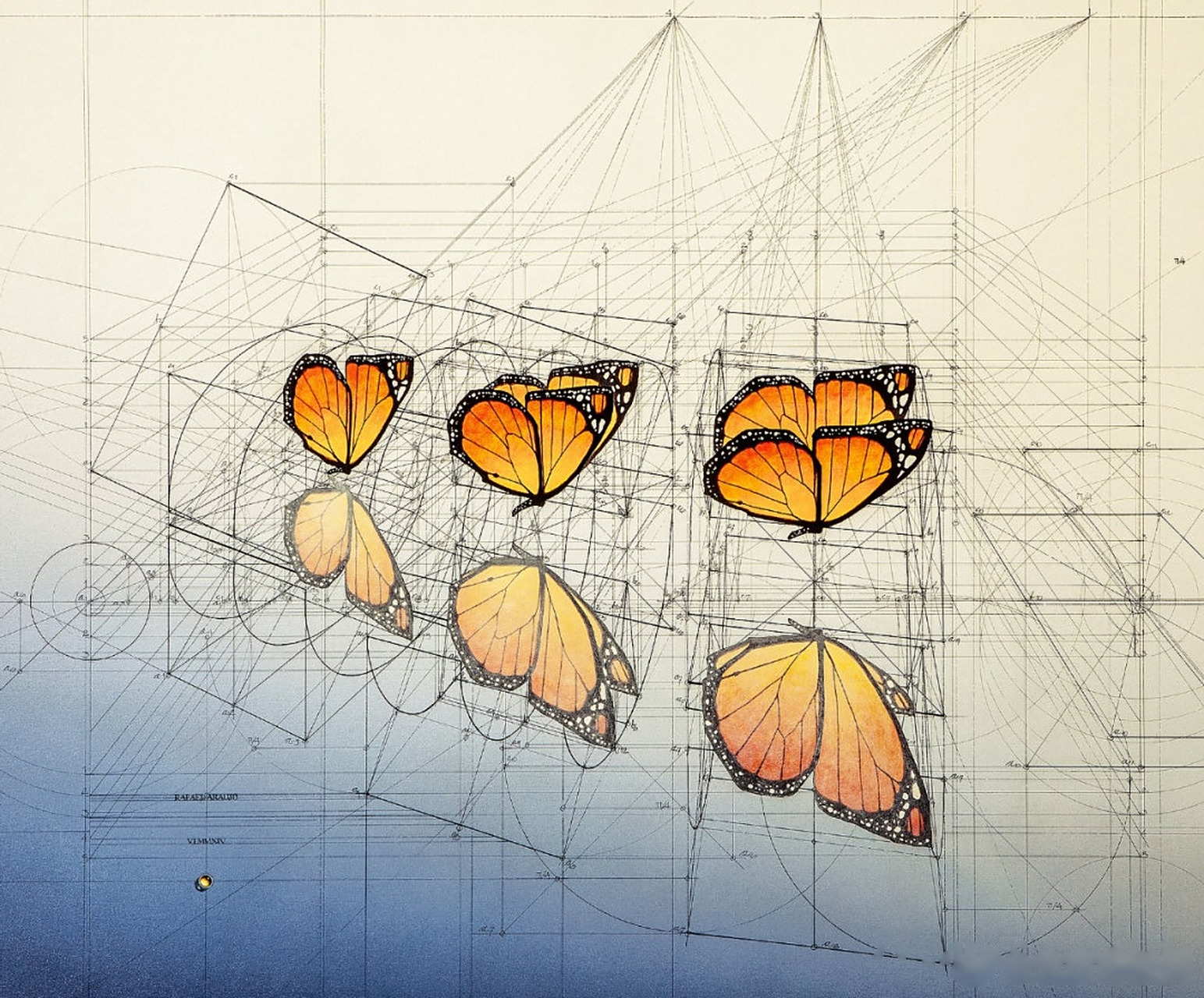 rafael araujo是一位建筑师,表面上看起来是艺术绝缘体的他,却用画笔