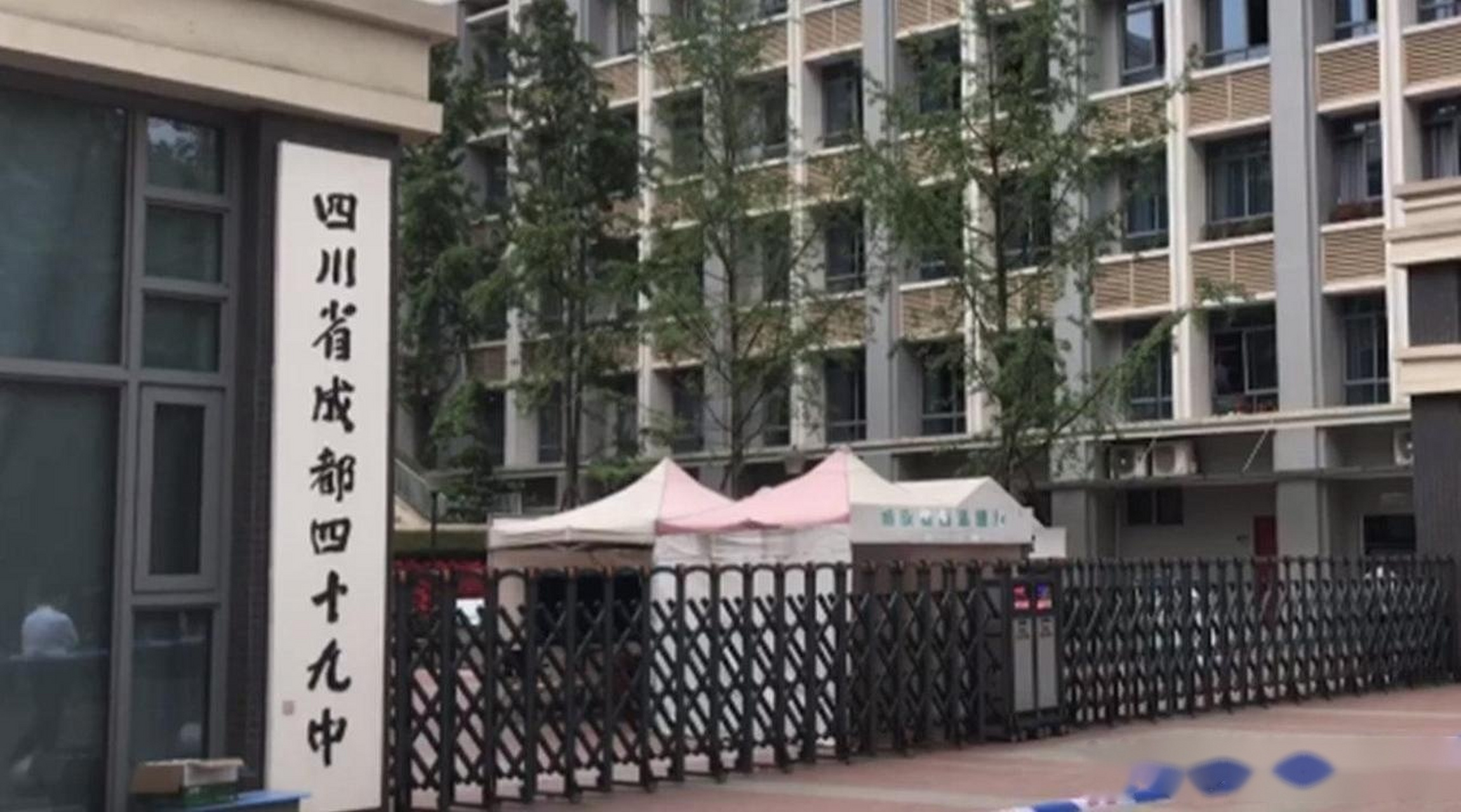 成都49中坠亡学生图片