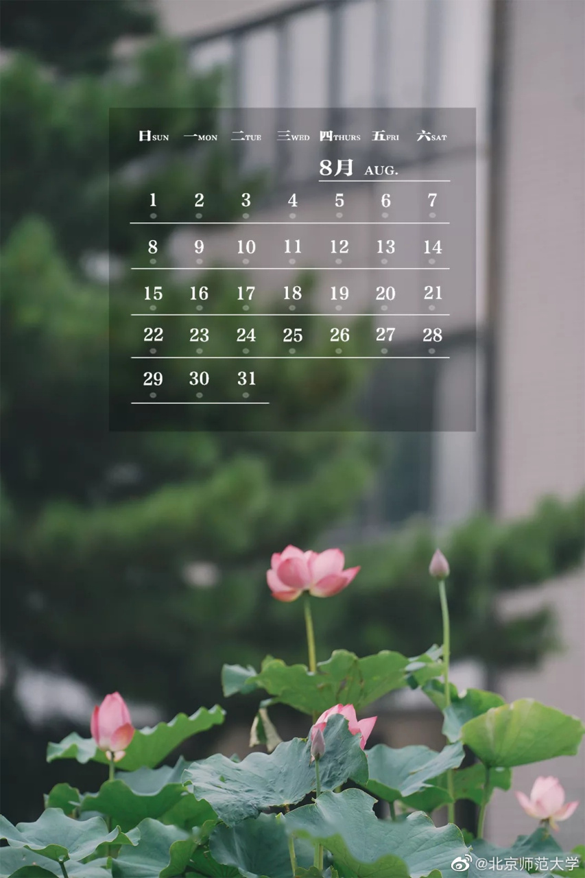 【师大月历 | 八月盛夏,明亮而又珍贵】