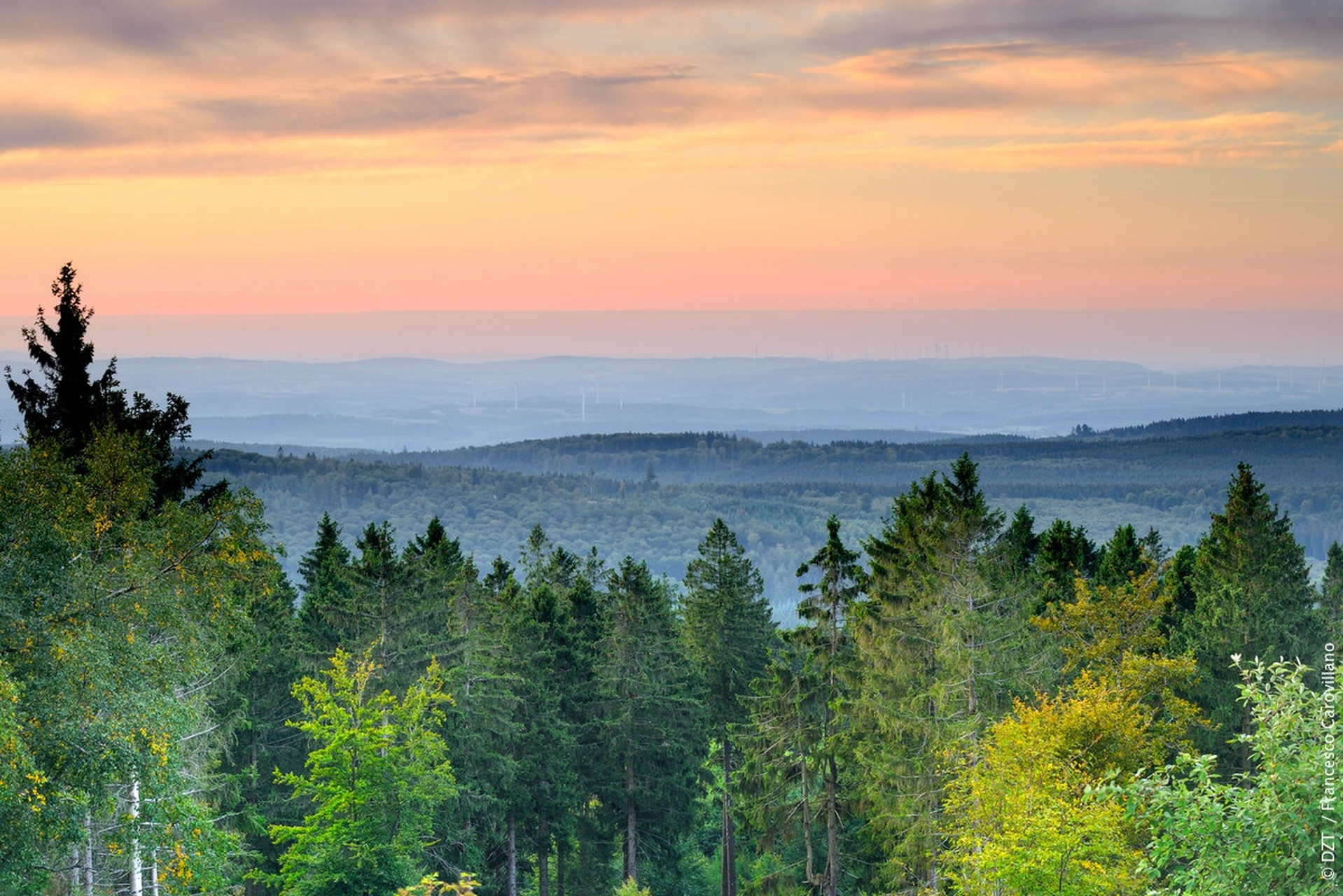 洪斯吕克森林国家公园(nationalpark hunsrück-hochwald)原生态的