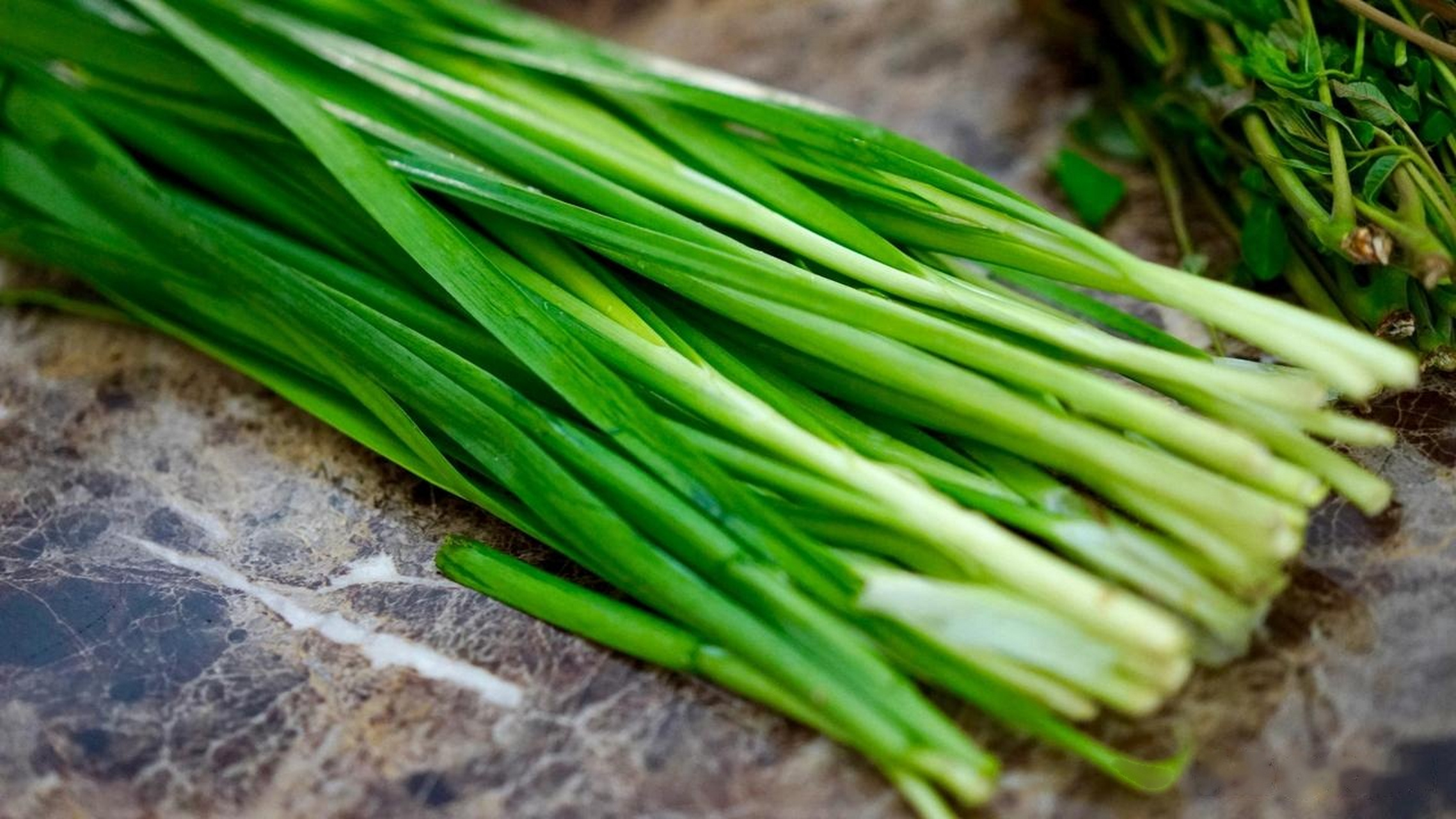 著名经济学家宋清辉"炒熊"买房? 90后小心变"韭零后"!