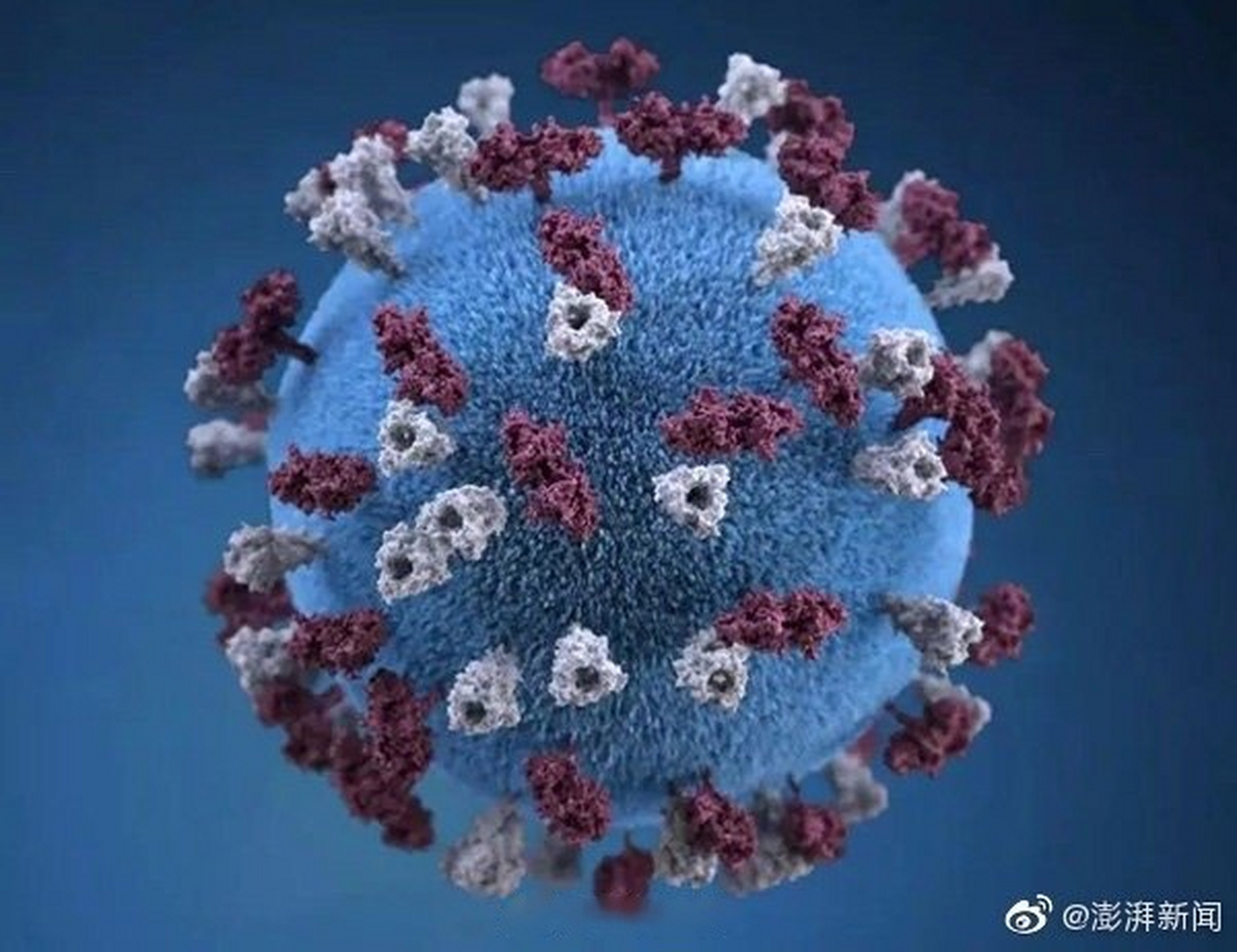 【中疾控披露:三名重庆入境回国人员疑从印度感染变异新冠病毒】新冠