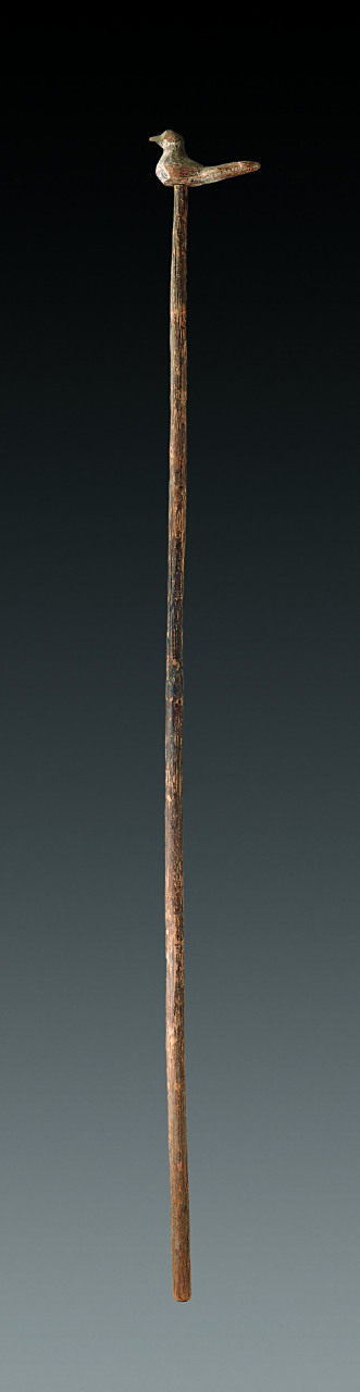 约会博物馆# 【彩绘木鸠杖】汉代武威市磨嘴子汉墓出土杖高196.