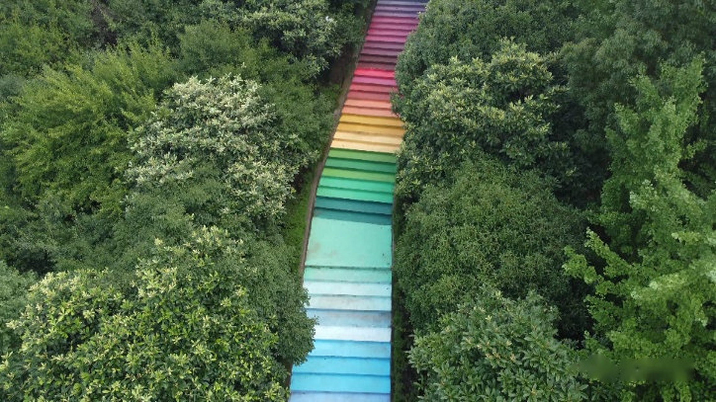 【江夏新增一打卡地 台阶穿上了"彩虹装"】位于梅南山山腰处的一处