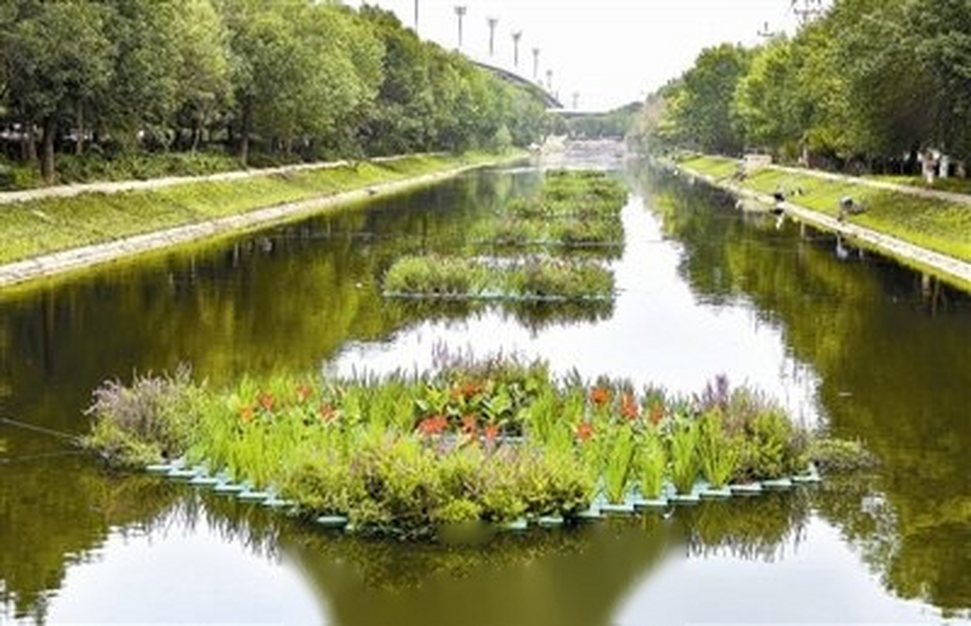 【实施水生态修复工程 河道水质颜值双提升】东丽区近日实施二级河道