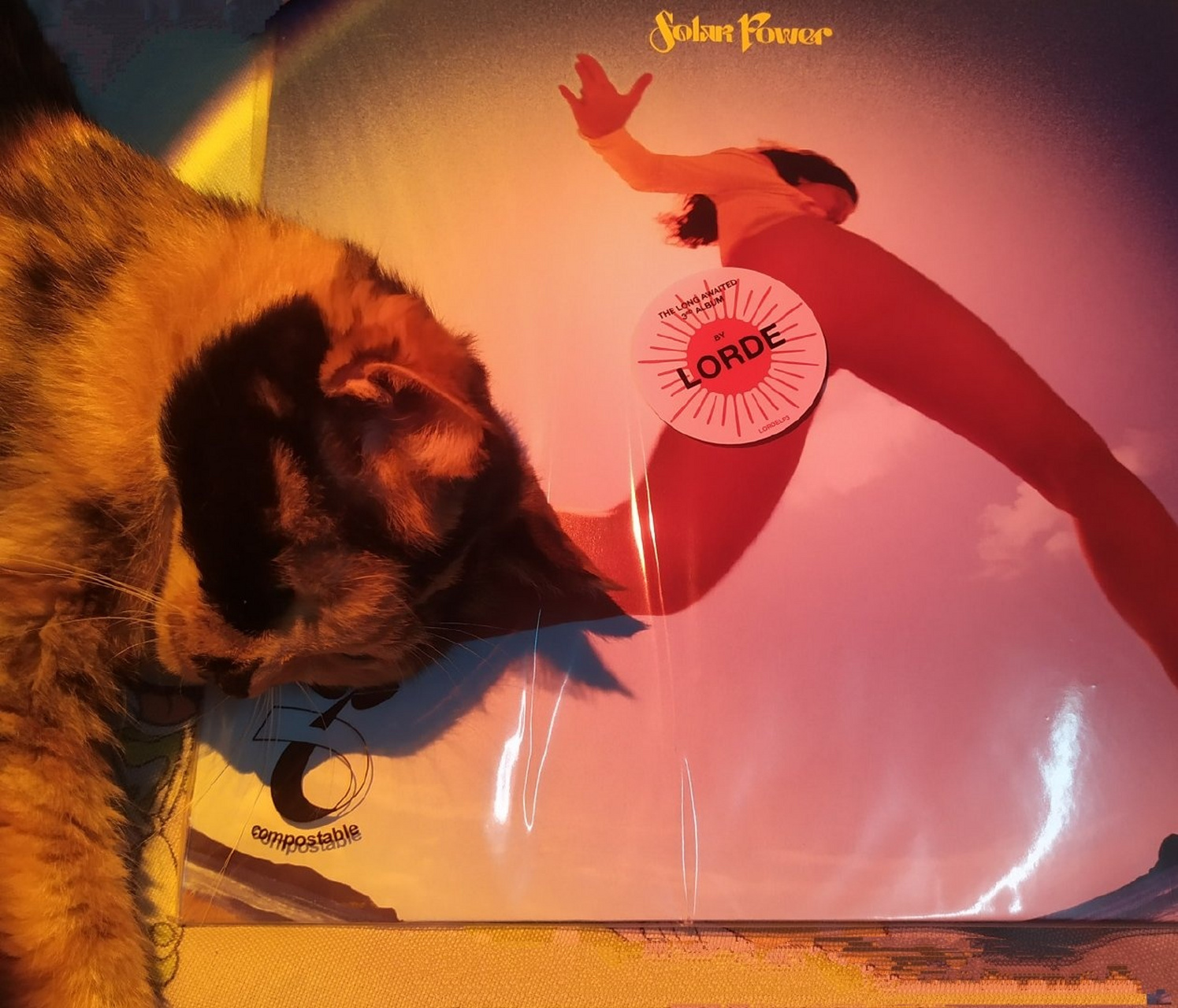 【唱片鉴赏】 lorde | "solar power" 投稿:淮北的橘子orz #lorde