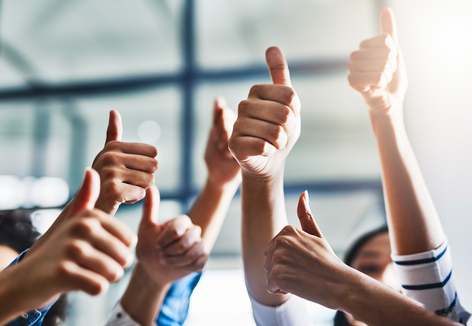 【强省会 人大在行动|贵阳市人大代表熊丽娟:全力带动村民共筑致富桥