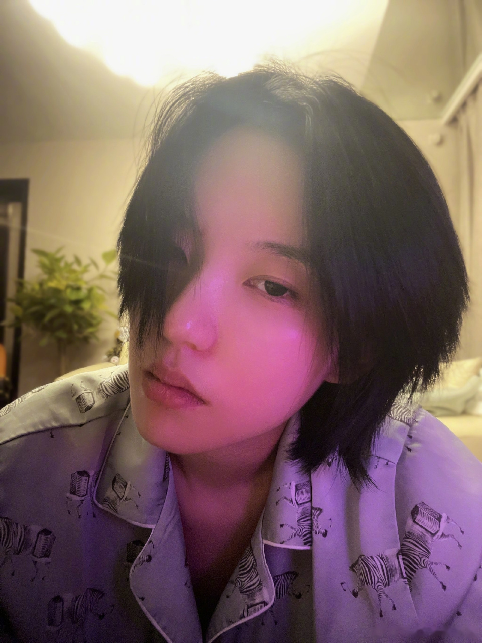 【陆柯燃晒素颜怼脸自拍】 #陆柯燃# 分享最新自拍身穿印花t恤,短发