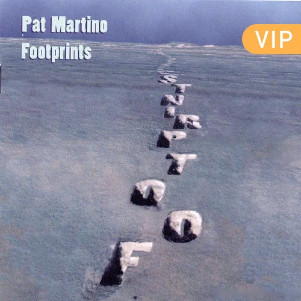 pat martino《how insensitive》[网页链接] qq音乐 老pat以前被车撞