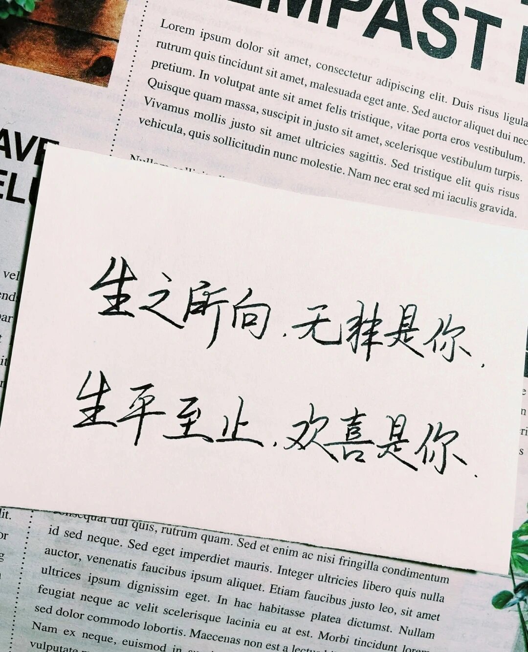 八字情话,字字浪漫