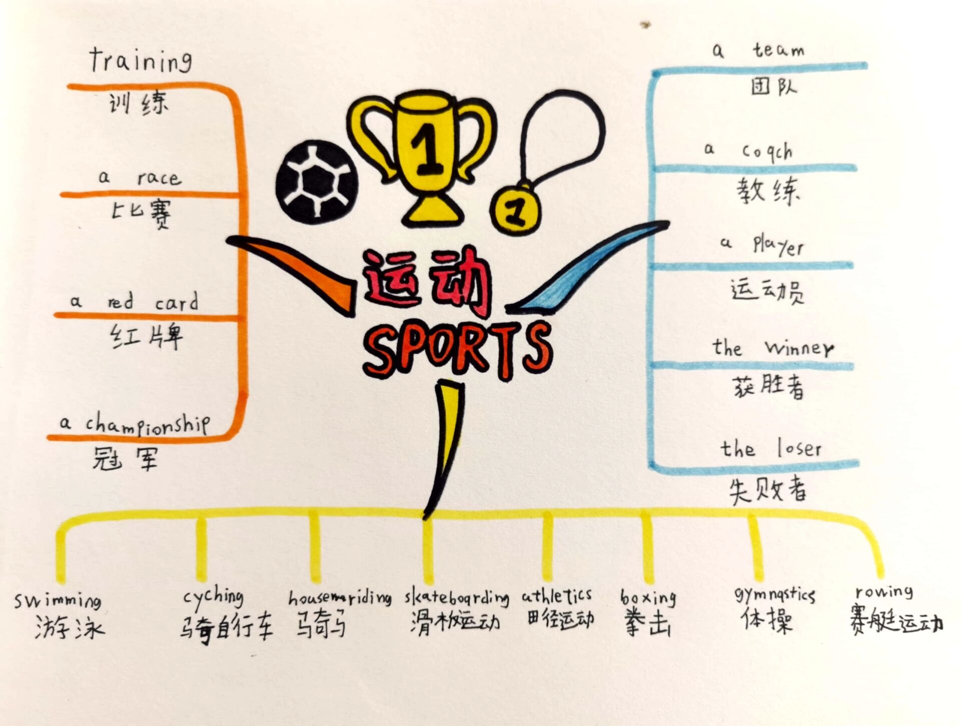 sports思维导图图片