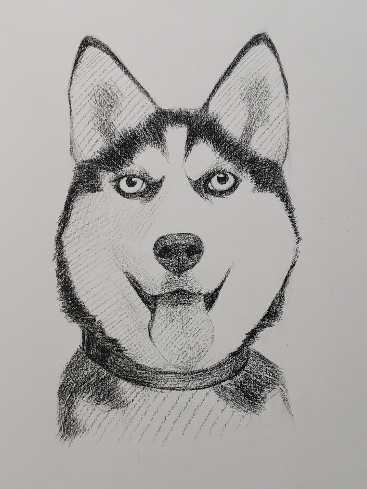 素描哈士奇 | 详细步骤 画个椭圆 逐渐细化形体,前期可以多用几何形