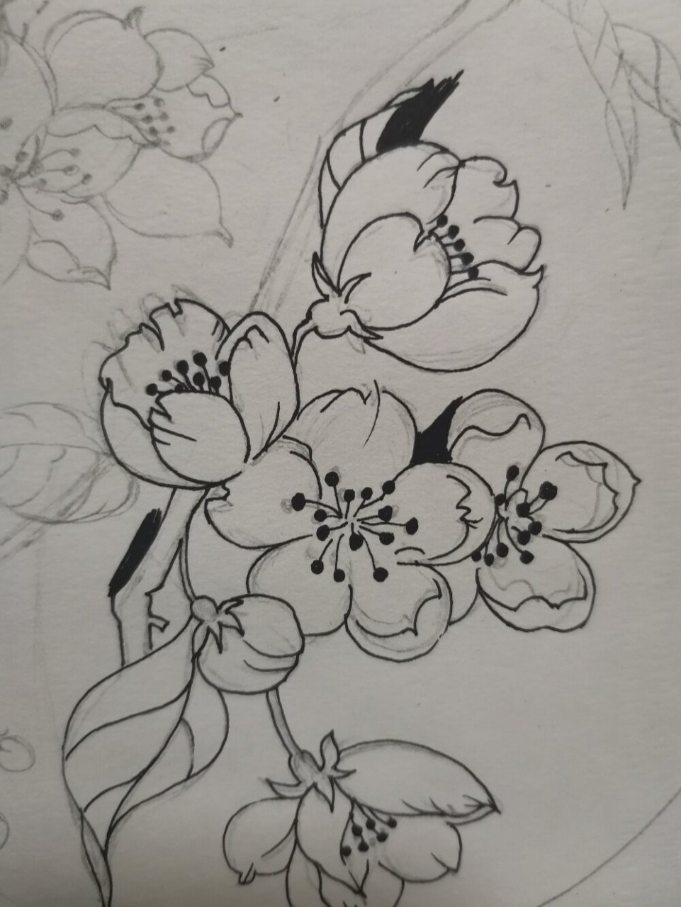 每日一画|桃花手绘黑白画 万花丛中的百花争艳你不一定娇艳,凌寒独自