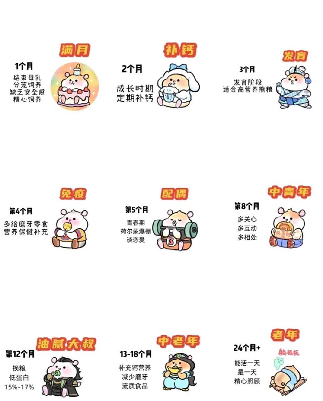 帮大家整理出来的仓鼠年龄对比表 希望大家可以在鼠子们短暂的生命中