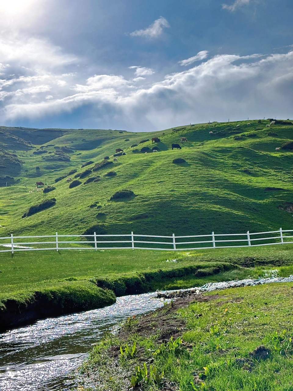 地址:云南省曲靖市会泽县大海草山!