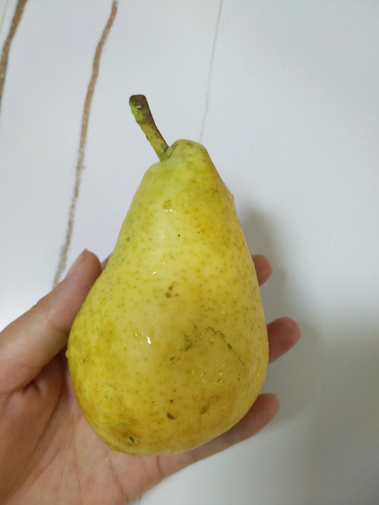 香蕉梨 有小伙伴吃过这种香蕉味道的梨吗?
