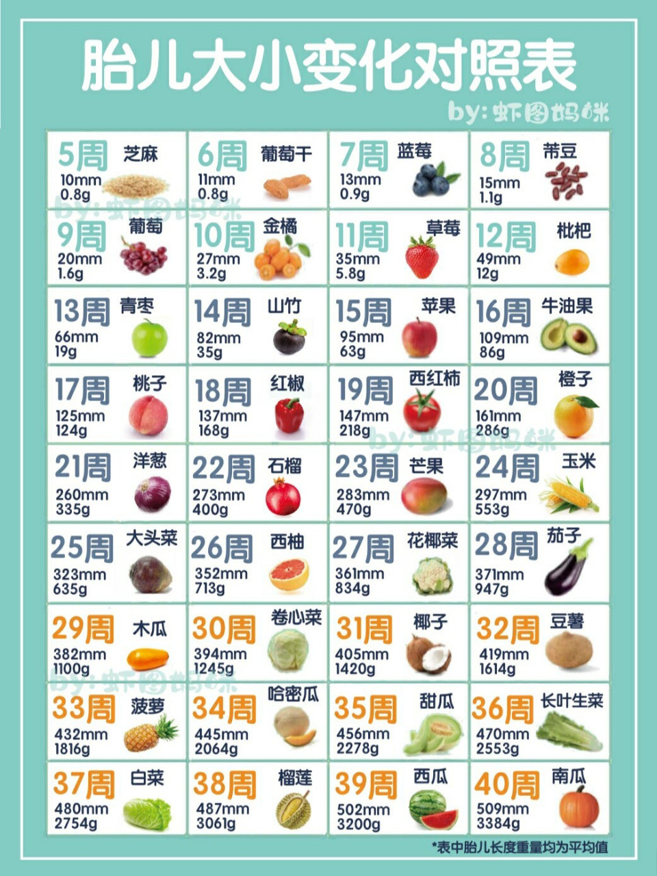 40周胎儿大小对照 | 你的宝宝是什么水果 宝宝在肚子里究竟多大啦?