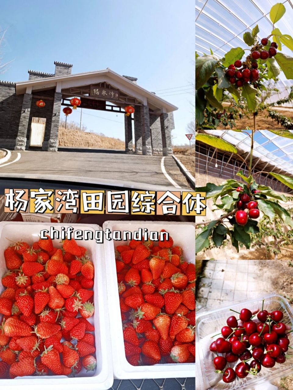 赤峰杨家湾田园综合体|我觉得我被薅羊毛了 唉[失望]周日秉承着出去