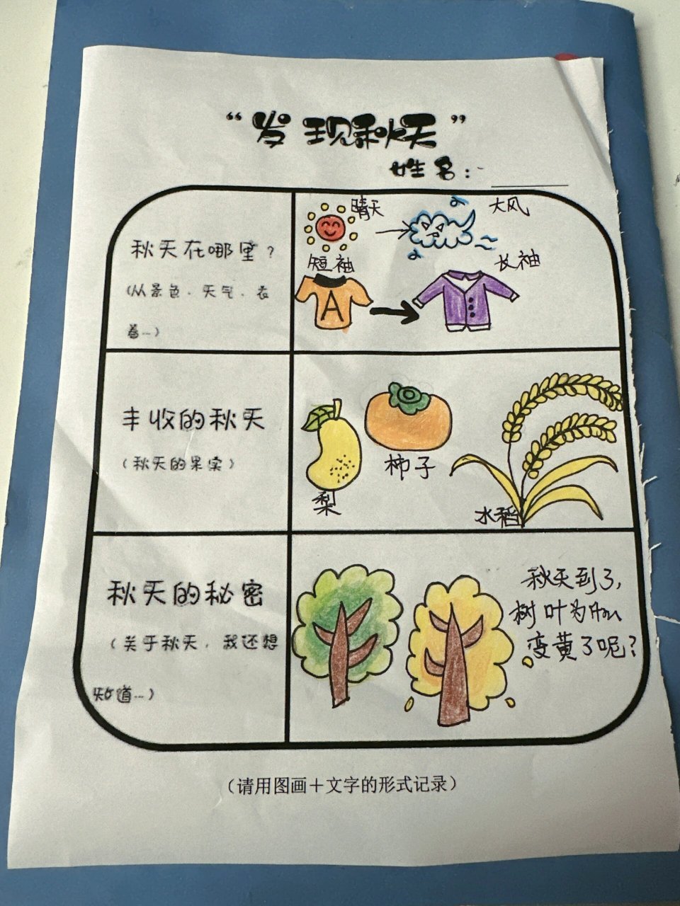 幼儿园秋季种植调查表图片