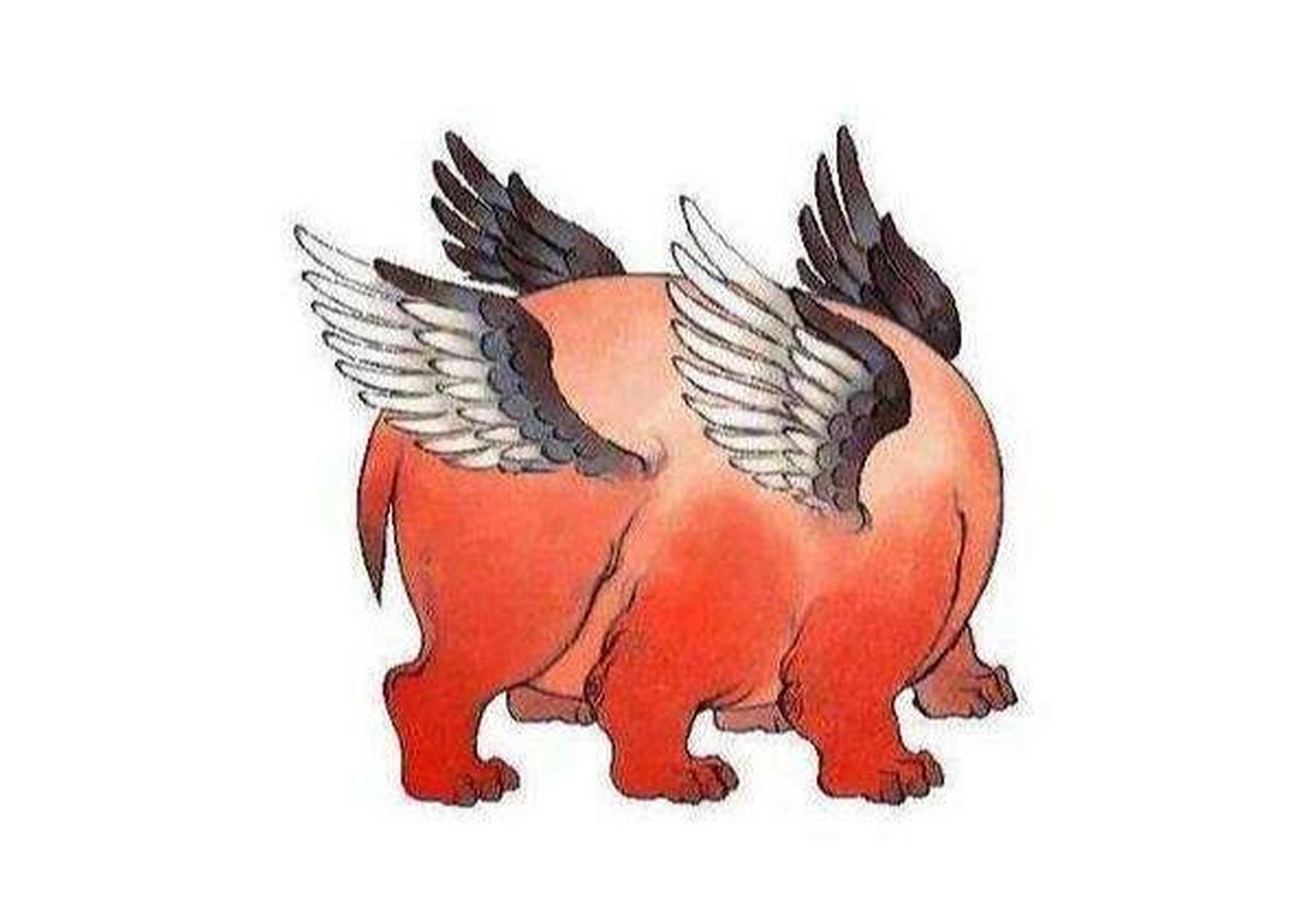 《山海经》异兽之帝江 92原文:有神焉,其状如黄囊,赤如丹火,六足四