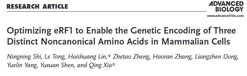 【专访北大夏青:用非天然氨基酸和碱基建构"全新世界",突破#合成生物