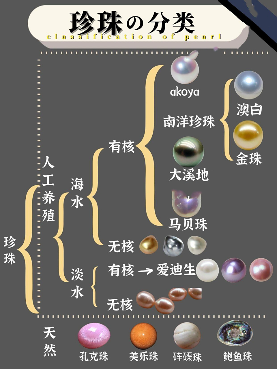 一篇看懂珍珠分类 73157315天然珍珠的形成有很大的偶然性